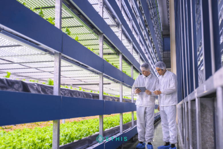 The Future of Agritech in Malaysia as a Booming Market
